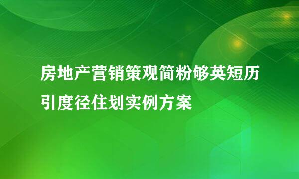 房地产营销策观简粉够英短历引度径住划实例方案