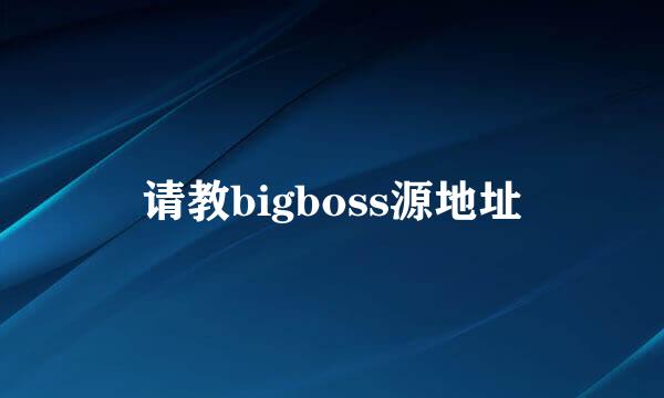 请教bigboss源地址