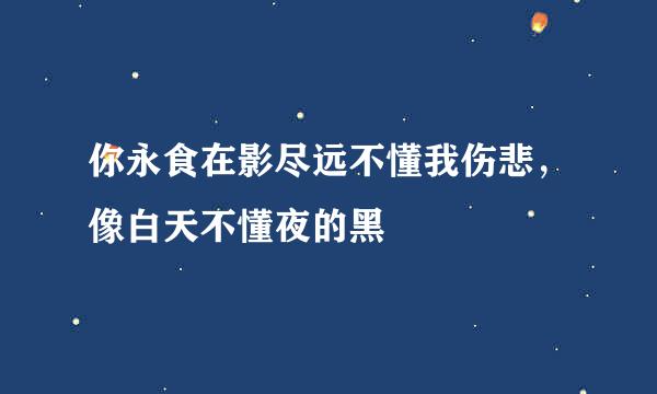 你永食在影尽远不懂我伤悲，像白天不懂夜的黑