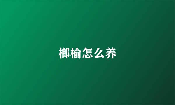 榔榆怎么养