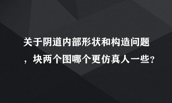 关于阴道内部形状和构造问题，块两个图哪个更仿真人一些？