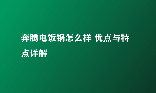 奔腾电饭锅怎么样 优点与特点详解