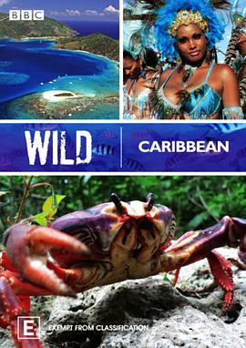 《野性加勒比》免费在线观看完整版高清,求百度网盘资源