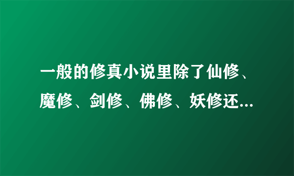 一般的修真小说里除了仙修、魔修、剑修、佛修、妖修还有什么？然后，佛修和仙修的区别？以及妖修是什么？