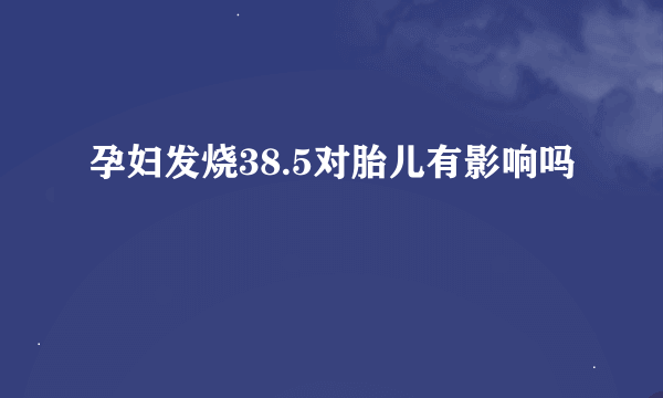 孕妇发烧38.5对胎儿有影响吗