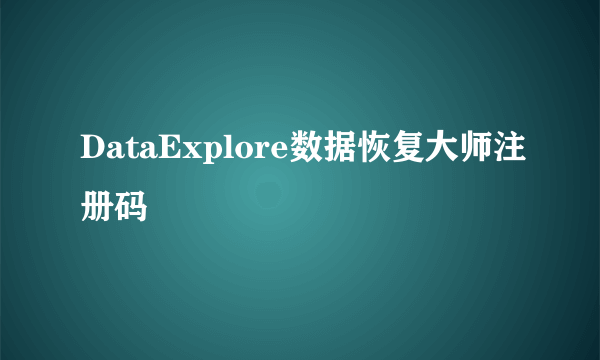 DataExplore数据恢复大师注册码