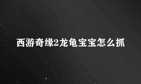 西游奇缘2龙龟宝宝怎么抓