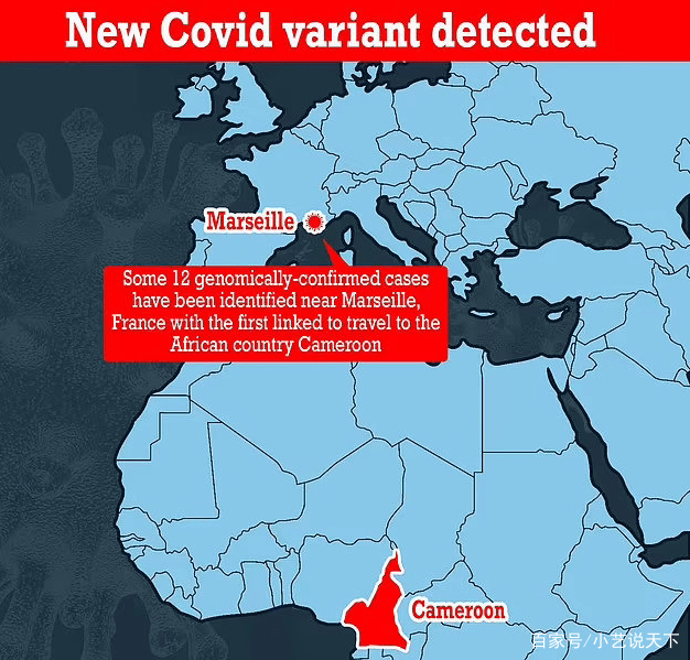 法国南部发现新冠病毒新毒株，该病毒的传染性有多强？