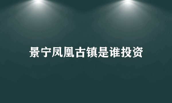 景宁凤凰古镇是谁投资