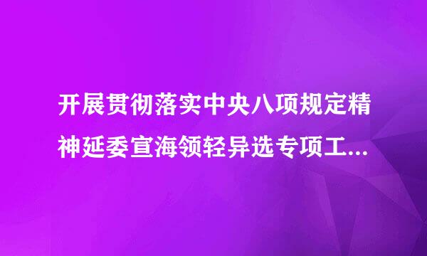 开展贯彻落实中央八项规定精神延委宣海领轻异选专项工作自查整改报告