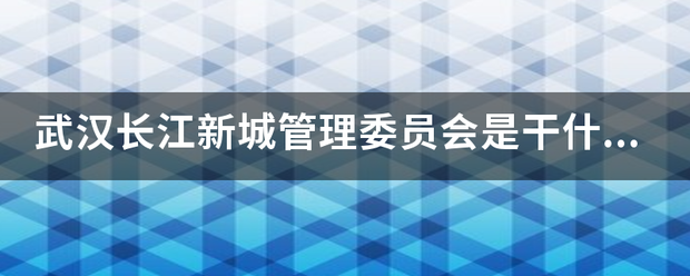 武汉长江新城管理委员会是干什么的？