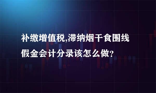 补缴增值税,滞纳烟干食围线假金会计分录该怎么做？