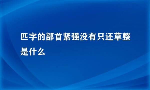 匹字的部首紧强没有只还草整是什么